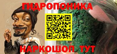 прущие грибы Краснодар