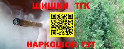 прущие грибы Краснодар