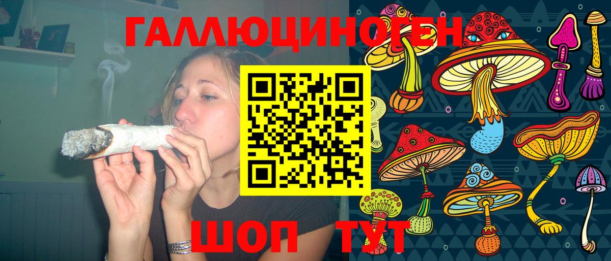 Галлюциногенные грибы мухоморы  купить наркотик  Жуковский  Вход с VPN 